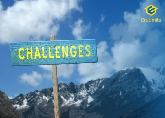 Educational & Professional Challenges
